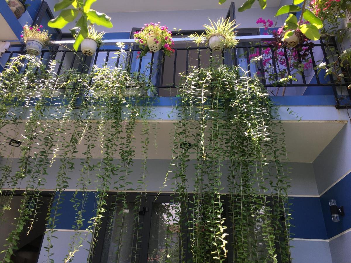 Cherry Garden Homestay Хойан Экстерьер фото