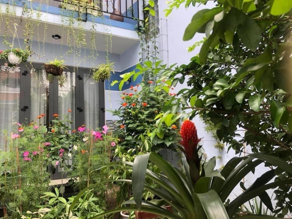 Cherry Garden Homestay Хойан Экстерьер фото