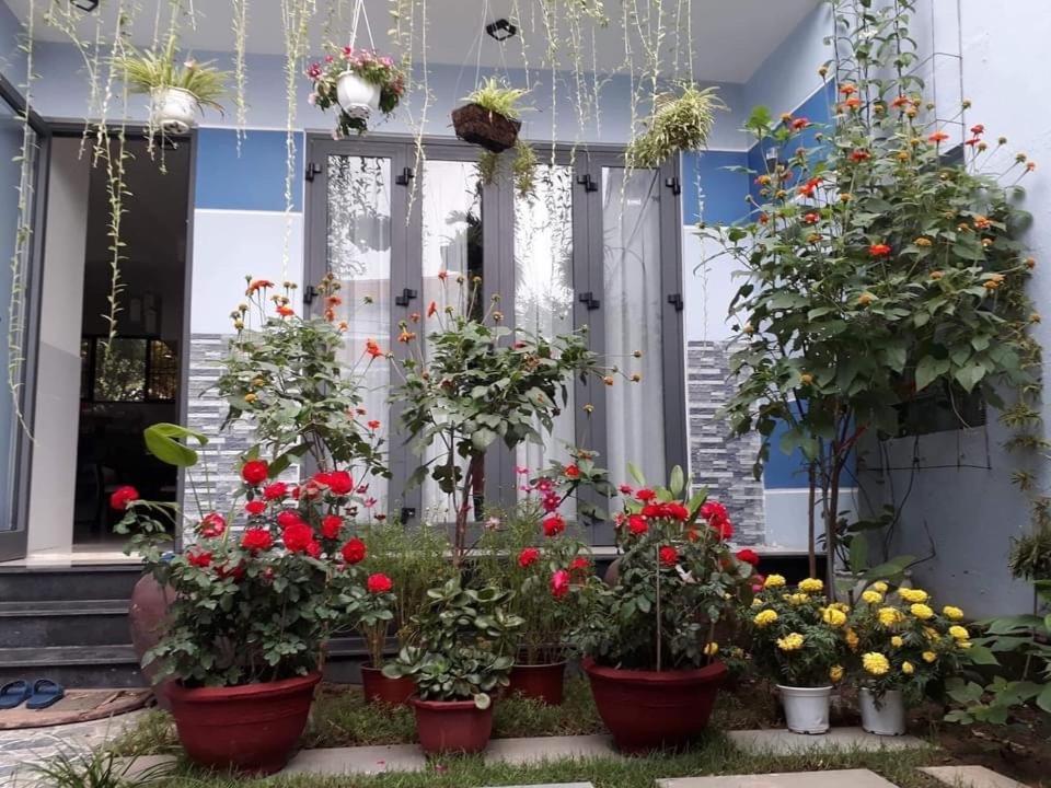 Cherry Garden Homestay Хойан Экстерьер фото
