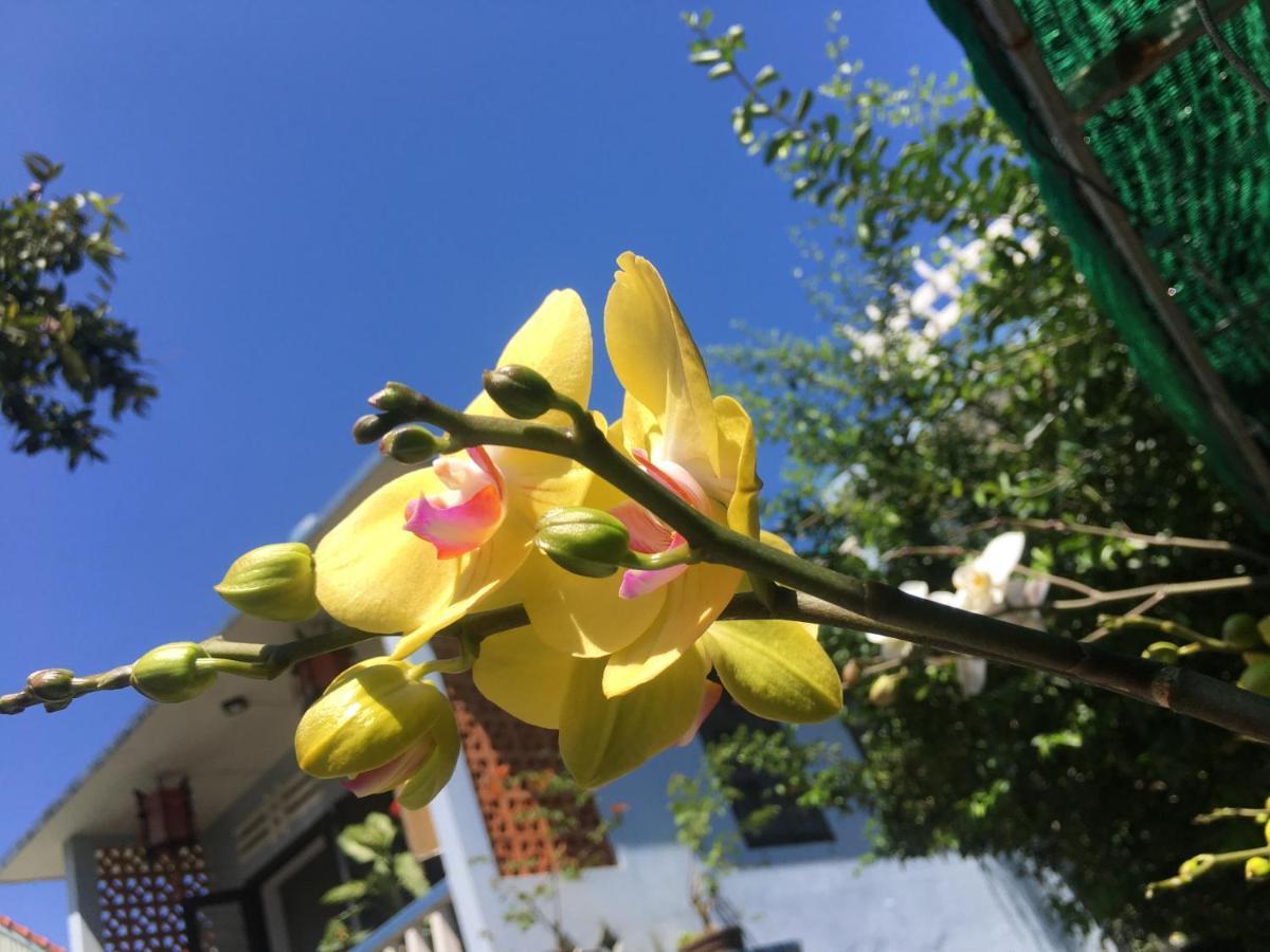 Cherry Garden Homestay Хойан Экстерьер фото