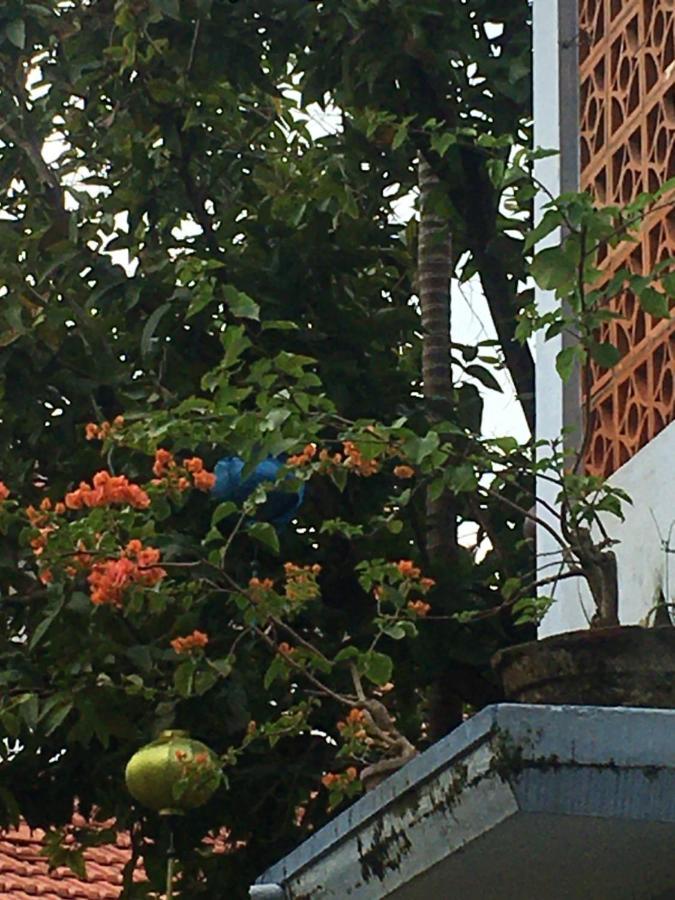 Cherry Garden Homestay Хойан Экстерьер фото