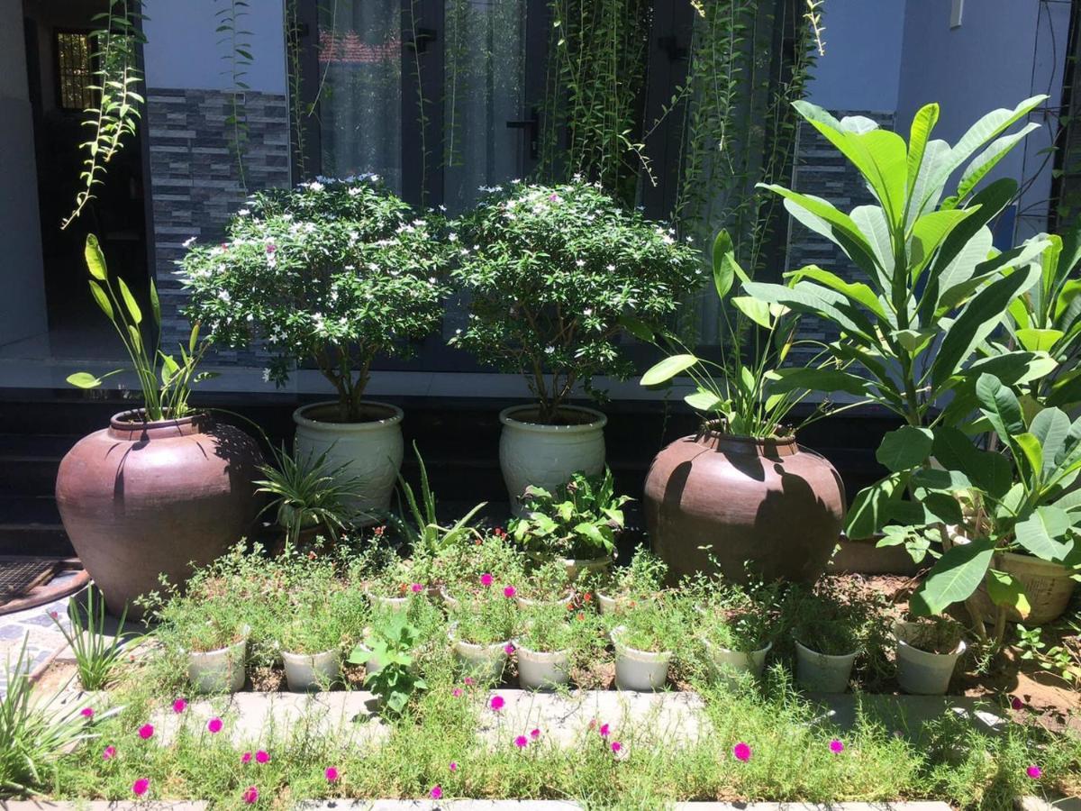 Cherry Garden Homestay Хойан Экстерьер фото