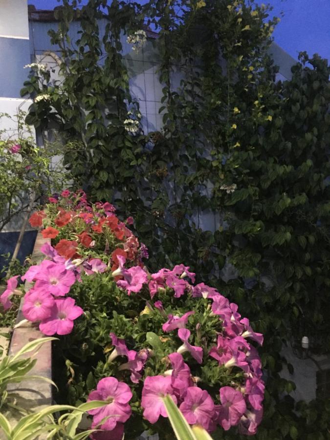 Cherry Garden Homestay Хойан Экстерьер фото